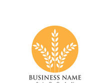 Agriculture wheat logo and symbol vector