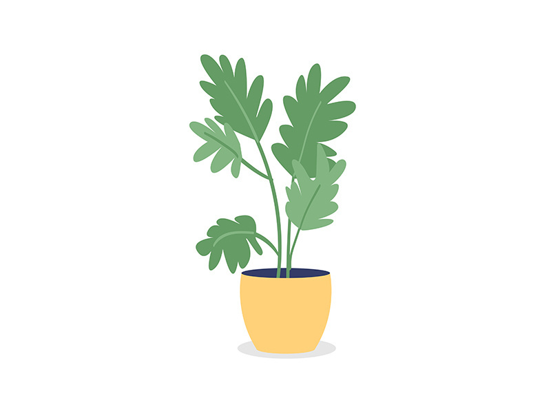 Houseplant for bedroom semi flat color vector object