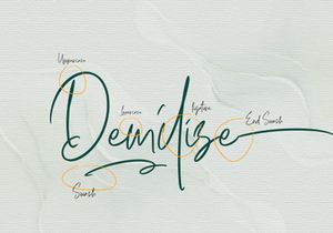 Hulya Script Handwritten Signature Font