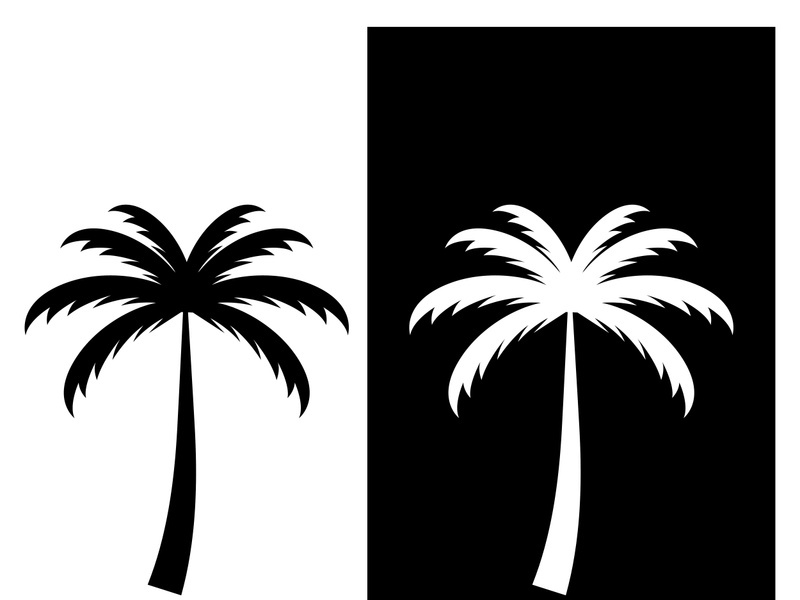 Palm tree summer logo design with creative ideas.