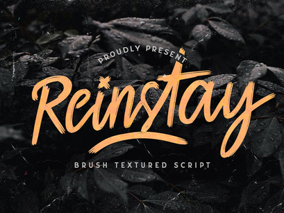 Reinstay - Brush Textured Script Font