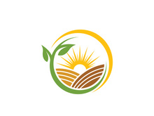 Sun farm logo Vector icon design illustration