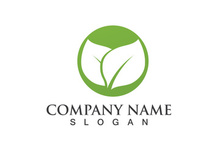 Green leaf logo Vector