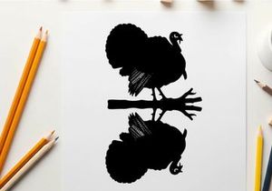 Silhouette of a turkey on a tree branch at night