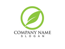 Green leaf logo Vector