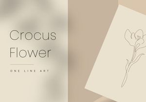Crocus Flower Line art