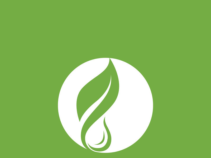 Leaf logo green nature vector image