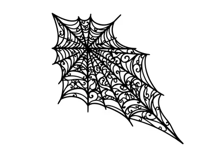 Intricate spider web with dew drops on black background