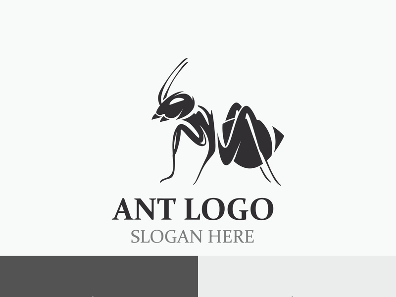 Ant logo design silhouette. Isolated animal ants on background design template vector