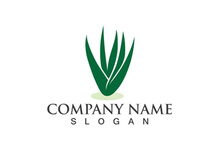 Aloe vera logo vector ilustration template