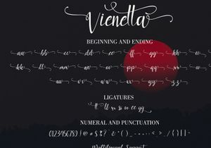 Vienatta