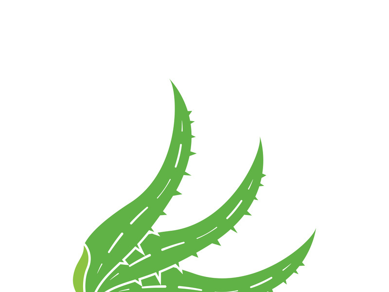Aloe Vera logo icon design symbol beauty skin care