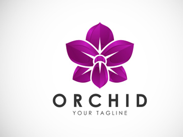 Colorful Orchid flower logo design template vector preview picture