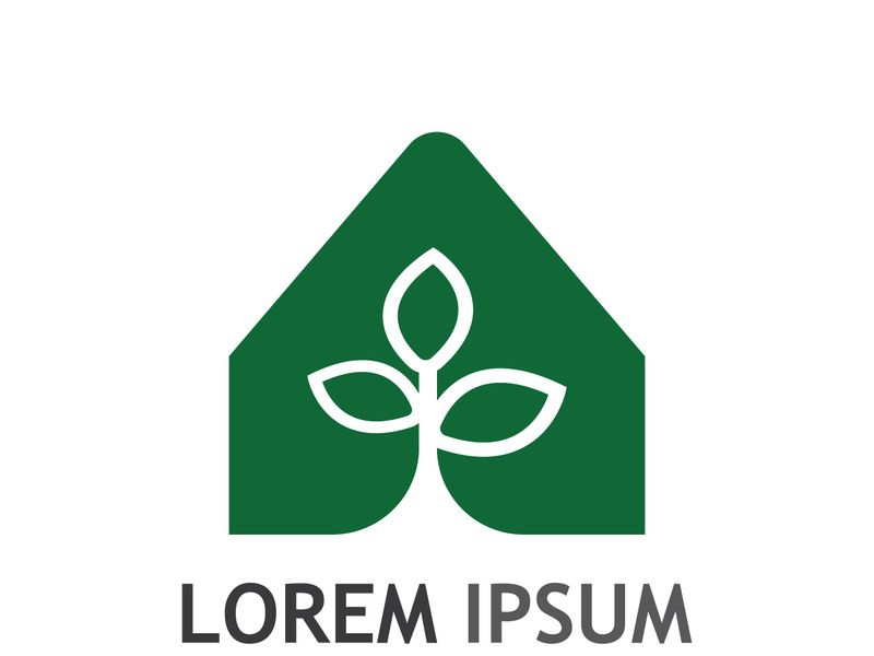 Natural green leaf logo.