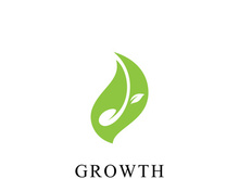 Green seed logo icon vector illustration