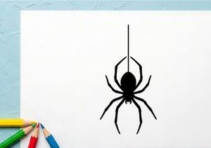 Black Widow Spider Hanging from Thread in Dark Setting