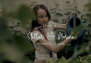 Wildy Sign Signature Font
