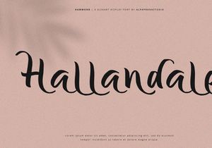 Hammond - Elegant Display Font