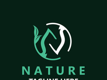 Nature leave logo design, vector plant eco style botanical collection business template
