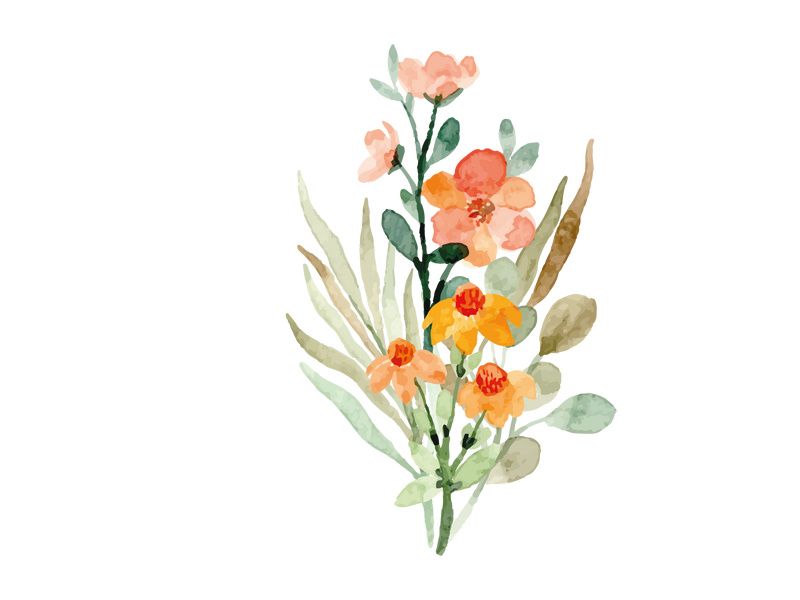 Vector Flower Watercolor Illustration