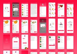 Grocery Delivery App