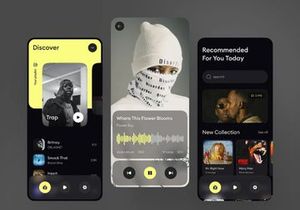 Dtuber v1.0 - YouTube and Spotify-style Flutter app