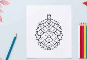 Pine cone line art illustration. Hand drawn botanical sketch of a coniferous seed pod.