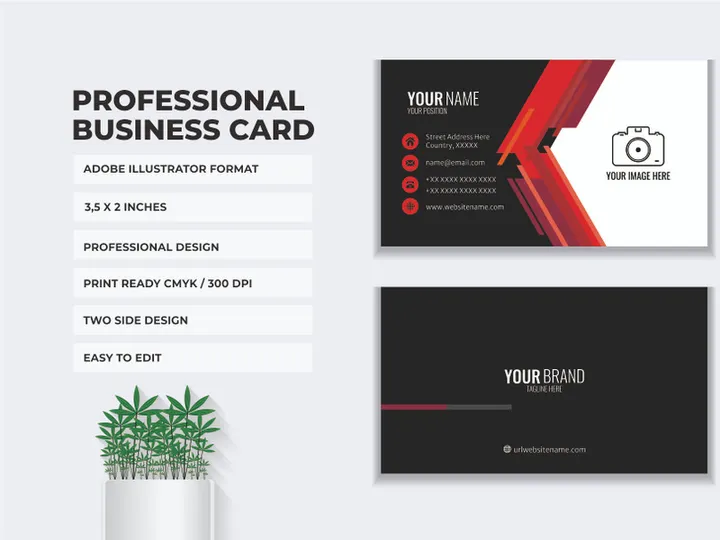 Business Card Template Bundle 5 Color