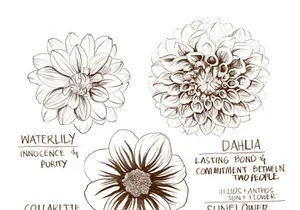 Florals | Free Hand Drawings