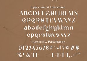 Geyster Modern/Vintage Font