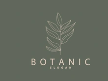 Leaf Line Logo, Beautiful Hand Drawn Design