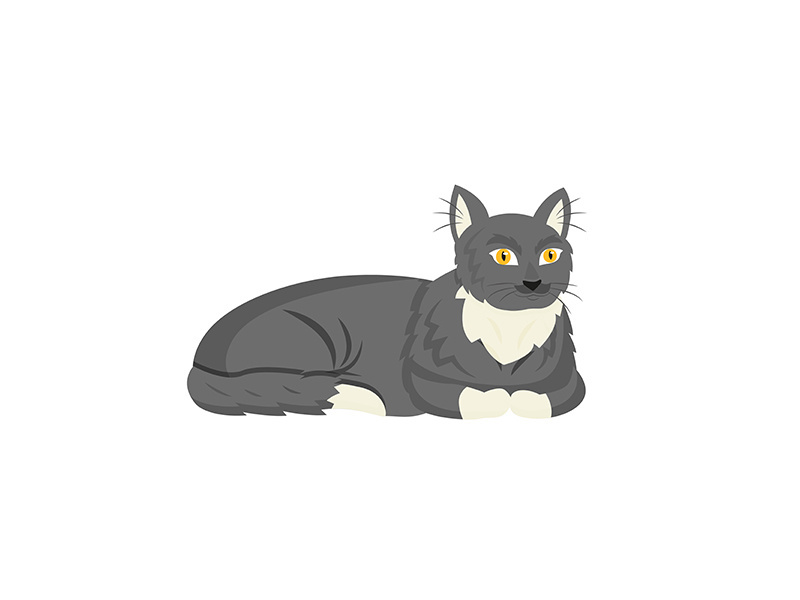 Black cat flat color vector character