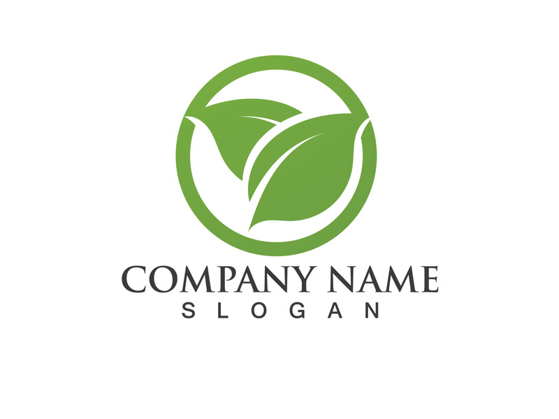 Green leaf logo Vector
