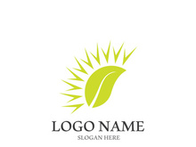 Sun vector illustration icon logo template design