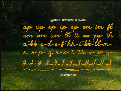 Averty Meadow | Monoline Script