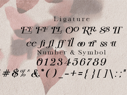 Lite Vallent, a delightful serif typeface