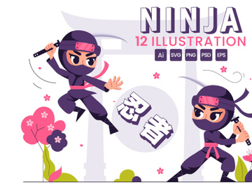 12 Ninja Shinobi Illustration preview picture