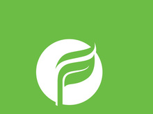 Leaf logo green nature vector image