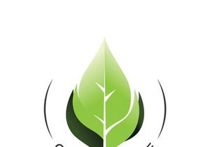 Leaf logo
