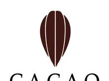 cocoa logo,cocoa bean,cocoa tree,cocoa branches and leaves,chocolate mix on white background,vintage,modern,simple,minimalist icon illustration template design vector