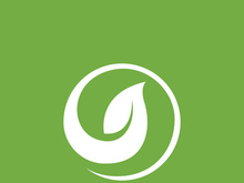 Leaf logo green nature vector image