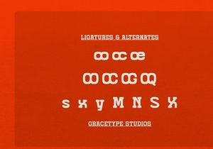 Grado Block | Rounded Slab Serif