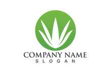 Aloe vera logo vector ilustration template