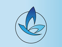 Butterfly logo design