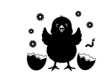 Black silhouette bird hatching from eggs with flowers and worm