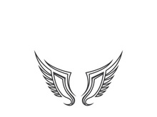wing Logo Template vector illustration design