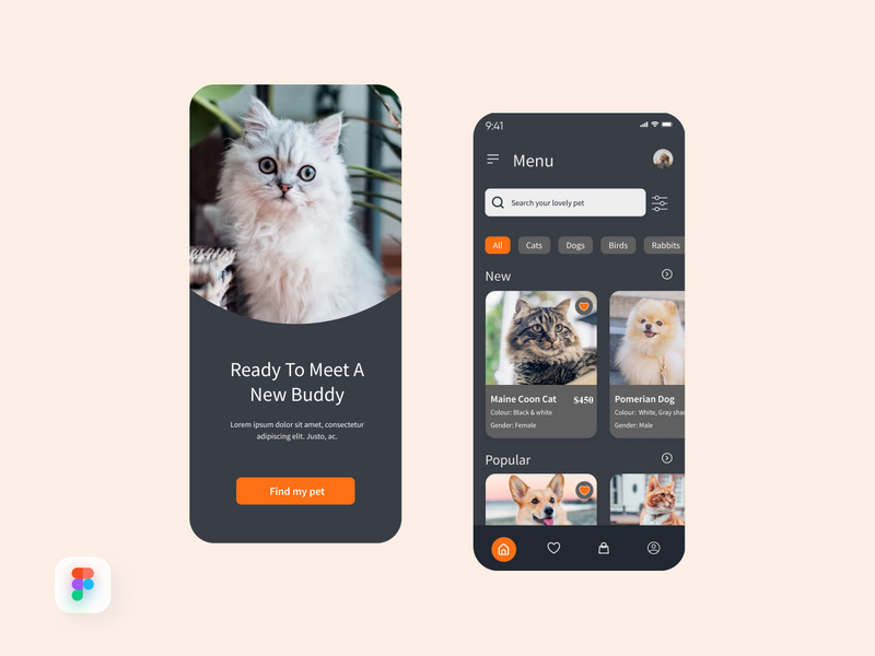 Pets Lovers App Design
