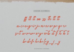 Marylona | Monoline Script font