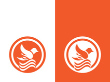 Dove bird logo vector design illustration