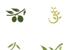 Branched olive fruit logo with creative idea.